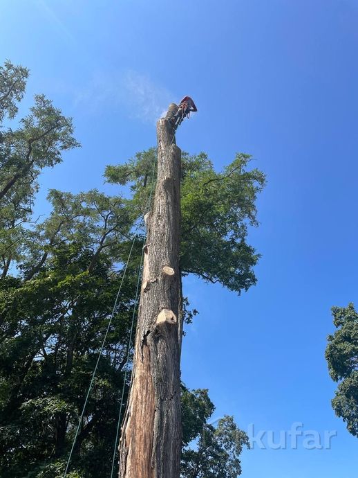 Фото работы 1