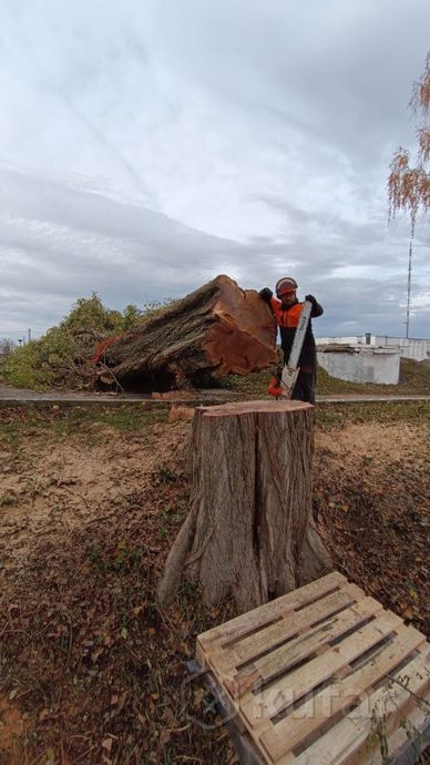 Фото работы 2