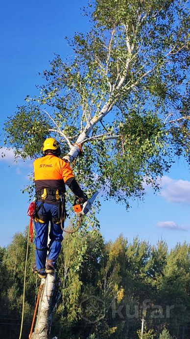 Фото работы 3