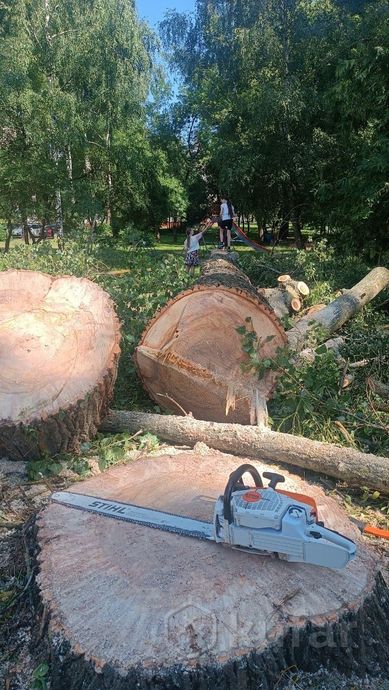 Фото работы 4