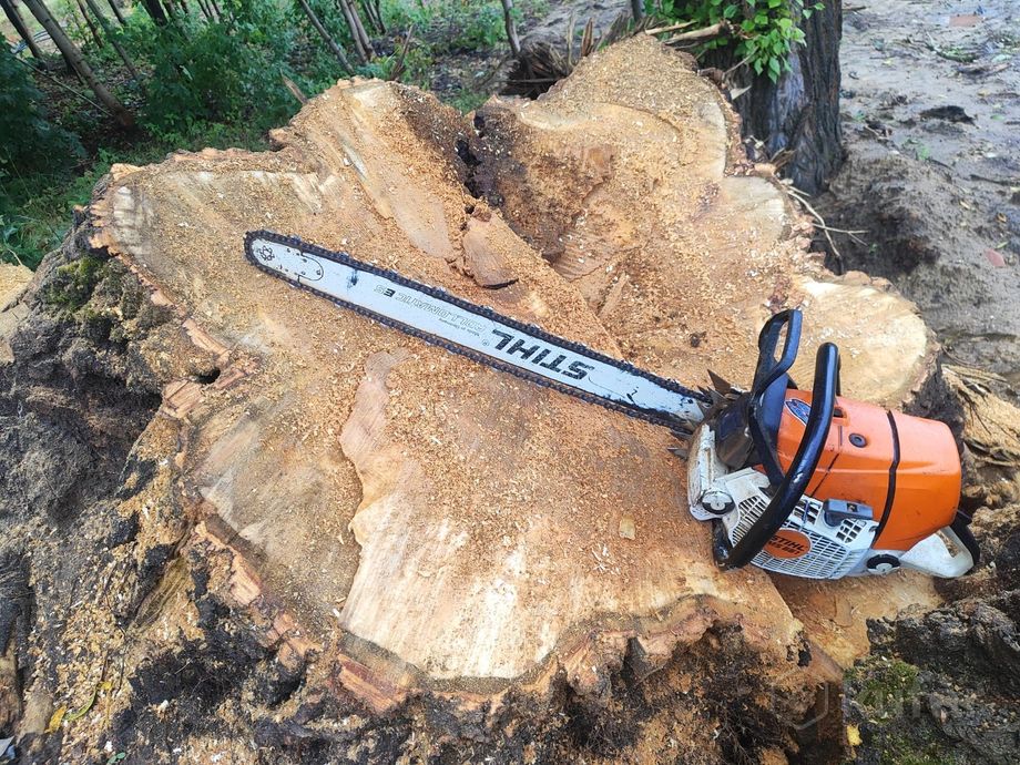 Фото работы 6